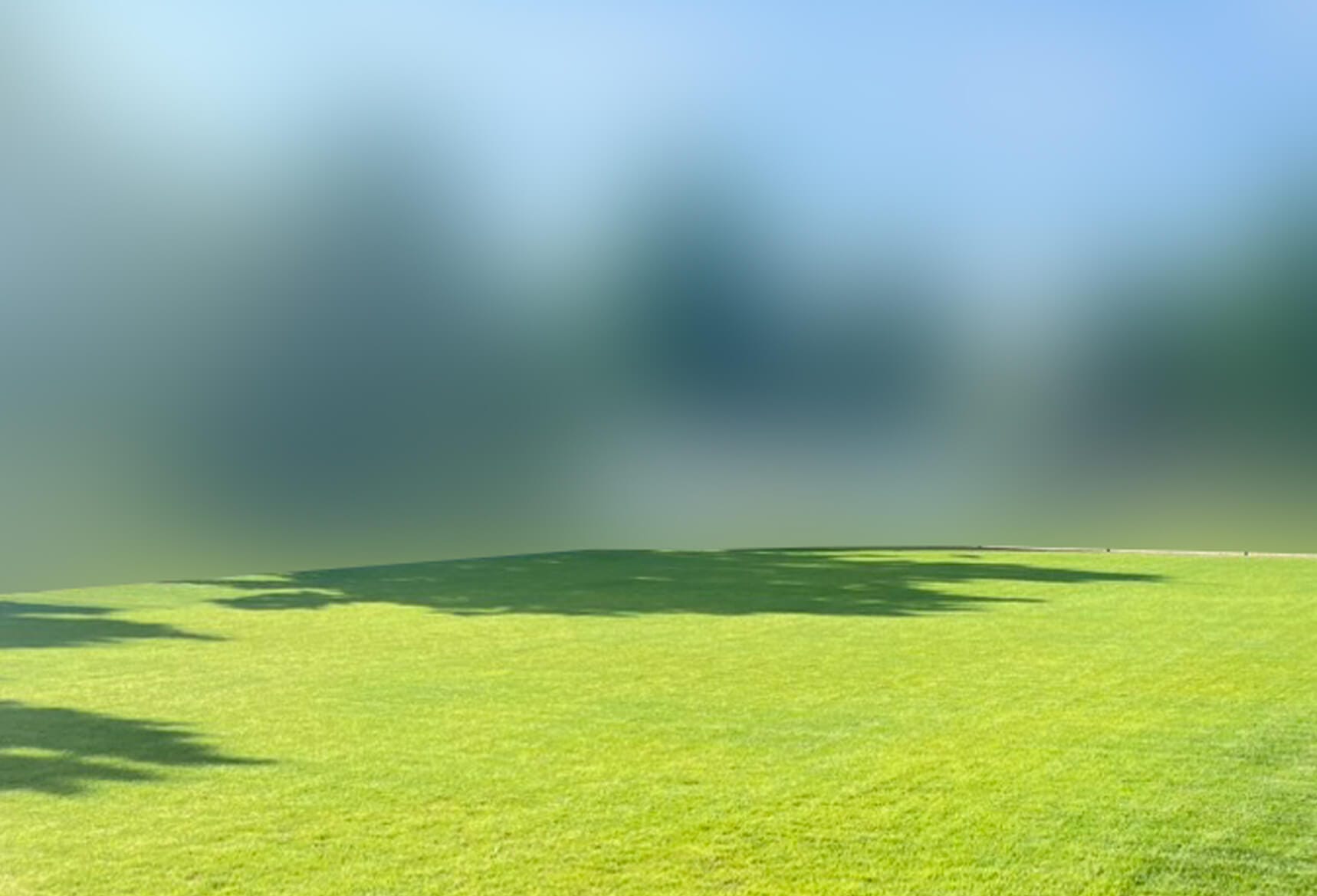 a green grass field with trees in the background